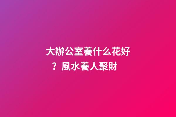 大辦公室養什么花好？風水養人聚財